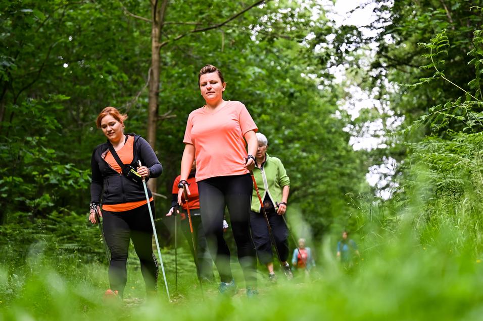 Gruppe von Personen wandert auf einem schmalen Pfad durch einen bewaldeten Bereich, umgeben von grüner Vegetation.